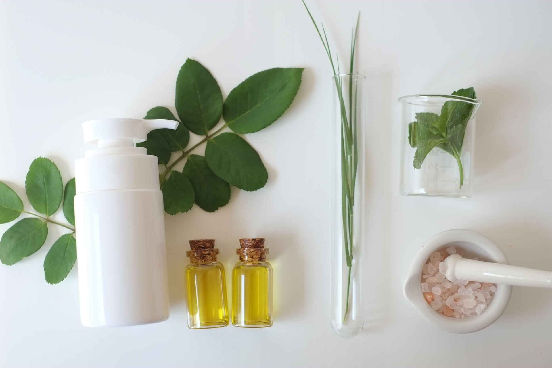 blank cosmetic  white serum dropper bottle containers with herbal ingredient and laboratory glass ware. package for branding .Natural organic beauty skincare product concept. alternative medicine.